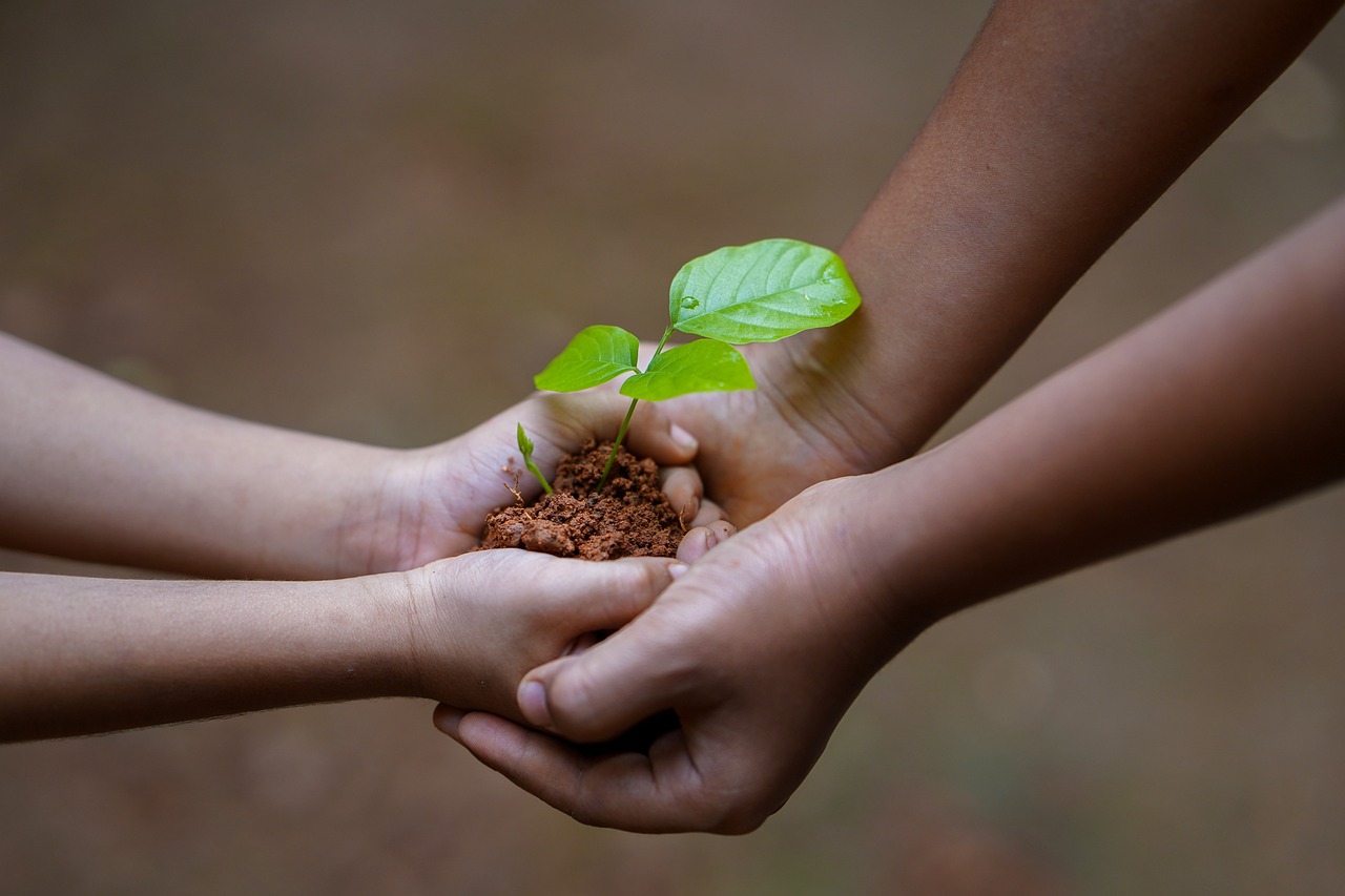 大人と子供が一緒に木を植える