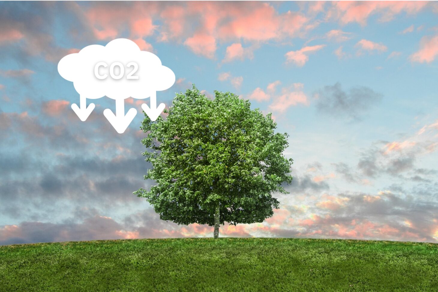 CO2削減を表す写真